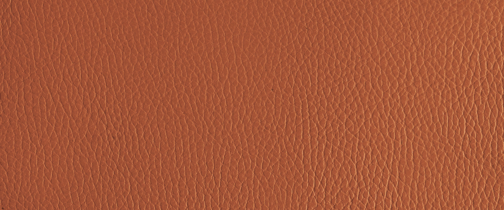 816
