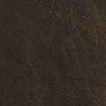 Ebony