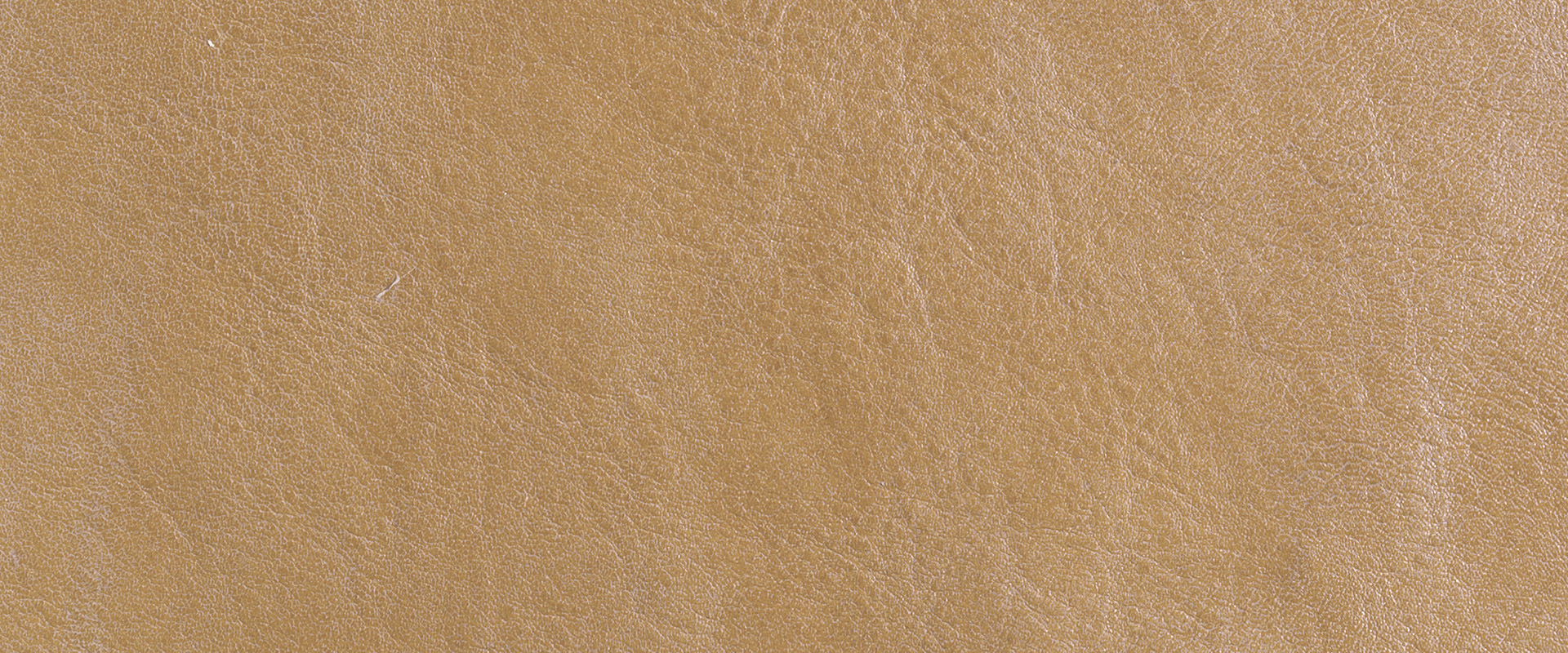 Sahara