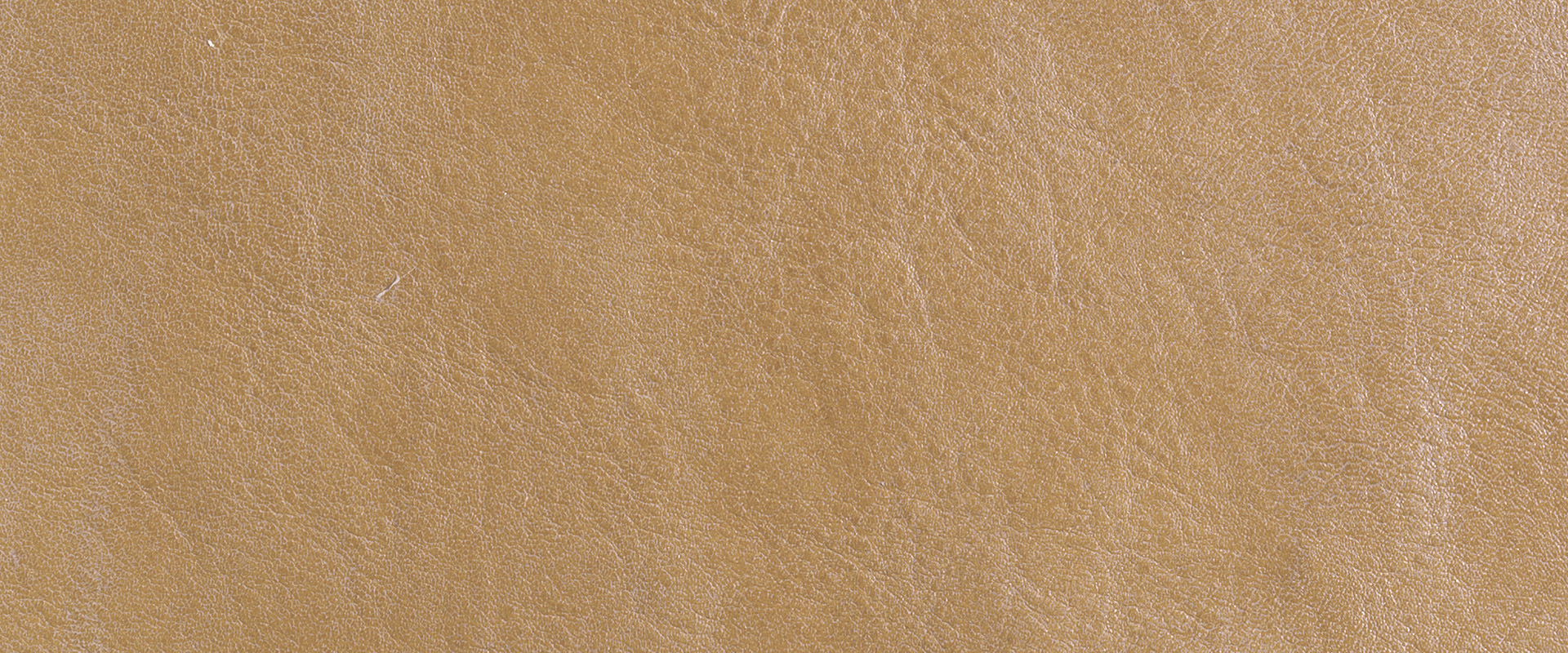 Sahara