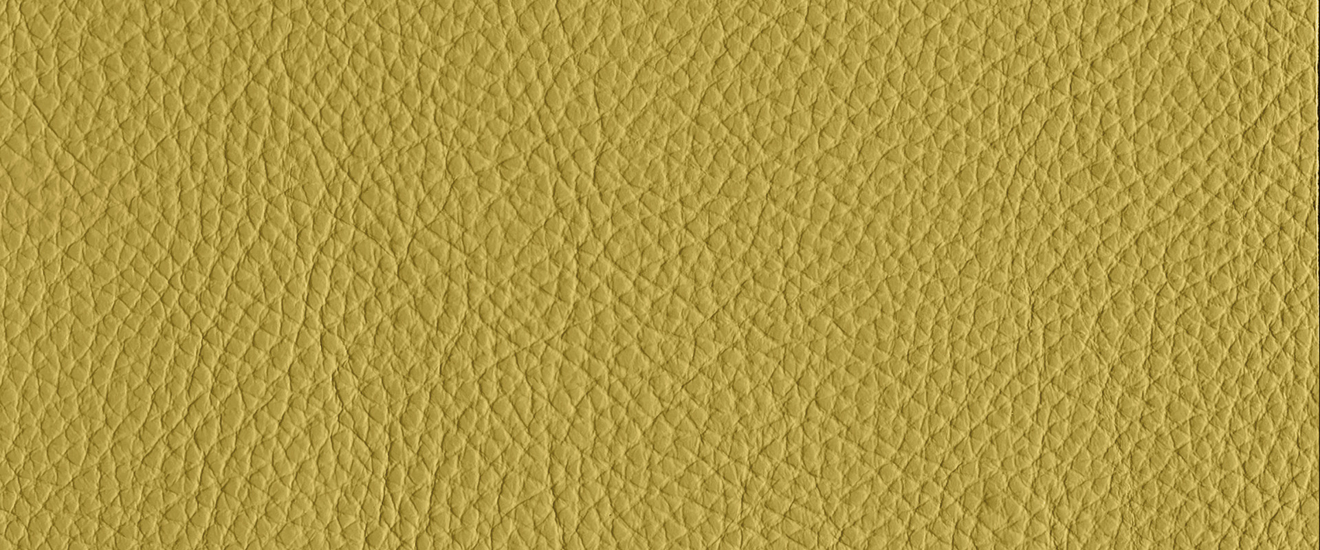 Cedro