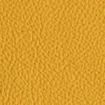 Giallo canarino