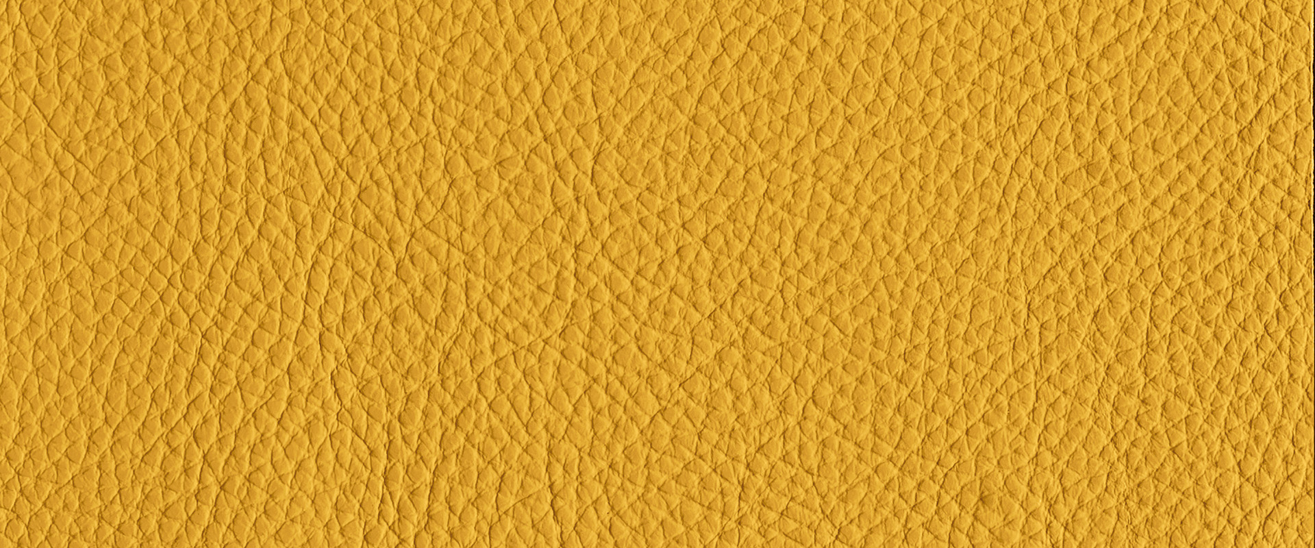 Giallo canarino