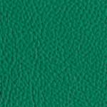 Menta